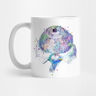 Eye Anatomy Watercolor Mug